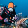 From Curiosity to Certification: What It’s Like to Take Your First Scuba Lesson as an Adult
