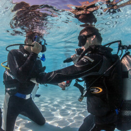 Private scuba lessons let the instructor focus soley on your needs