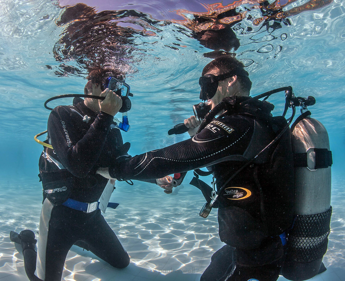 Private scuba lessons let the instructor focus soley on your needs