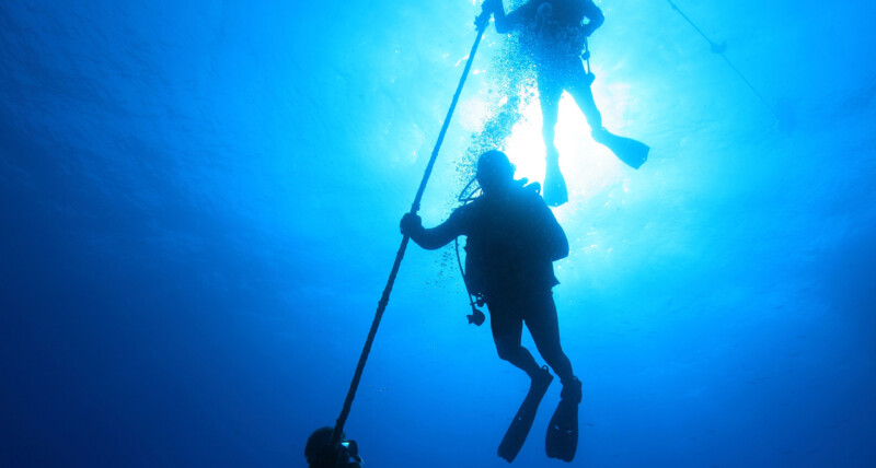divemaster class