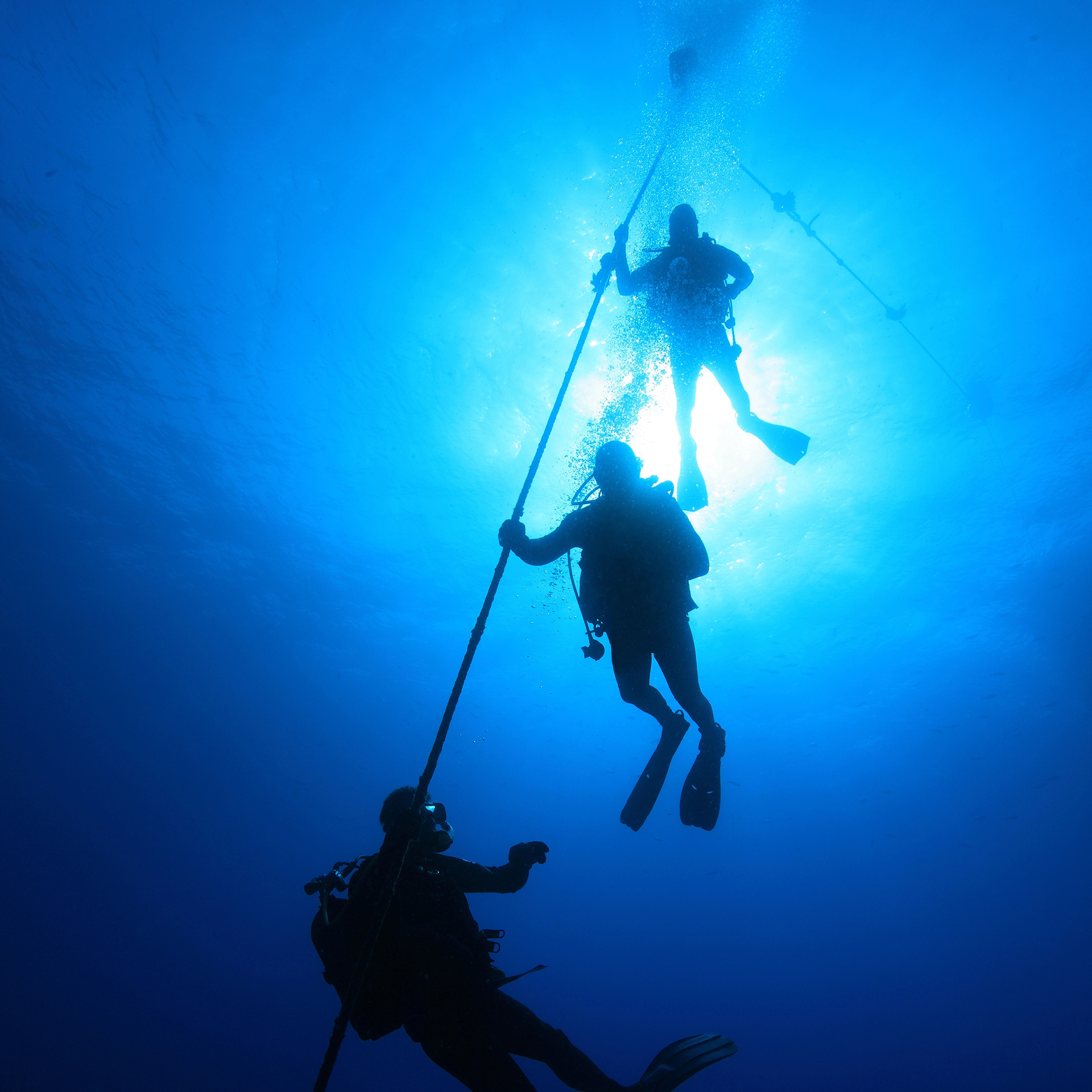Divemaster