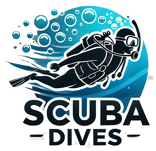 Scuba Dives | Private PADI Scuba Lessons