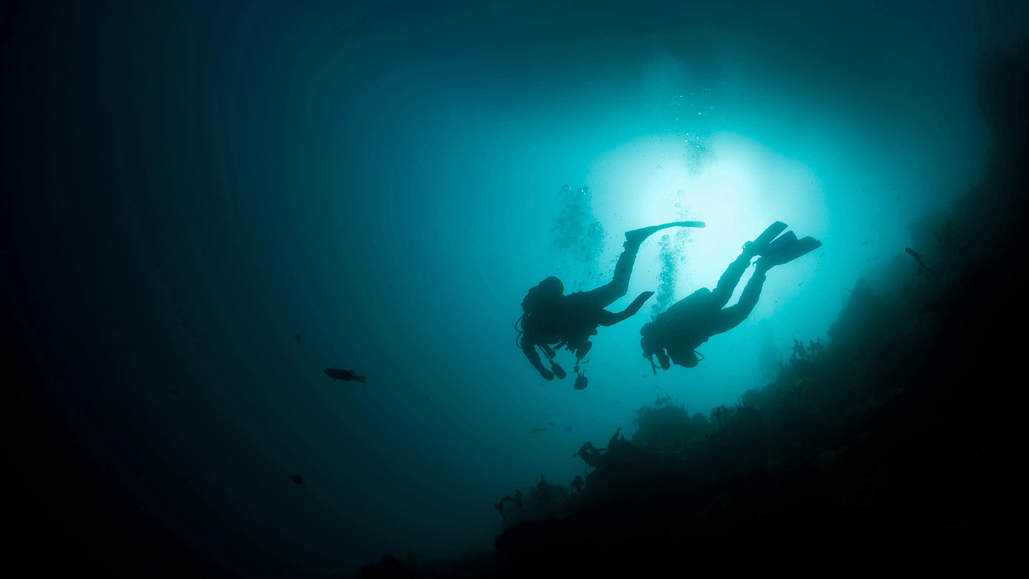 Deep sea diving requries extra skills and certifications