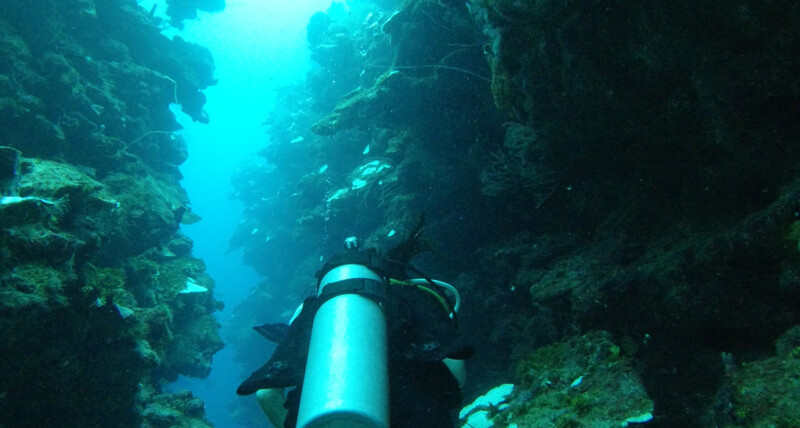 Dive at Mary's Place, Roatan, Honduras