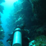 An Unforgettable Dive at Mary’s Place, Roatan