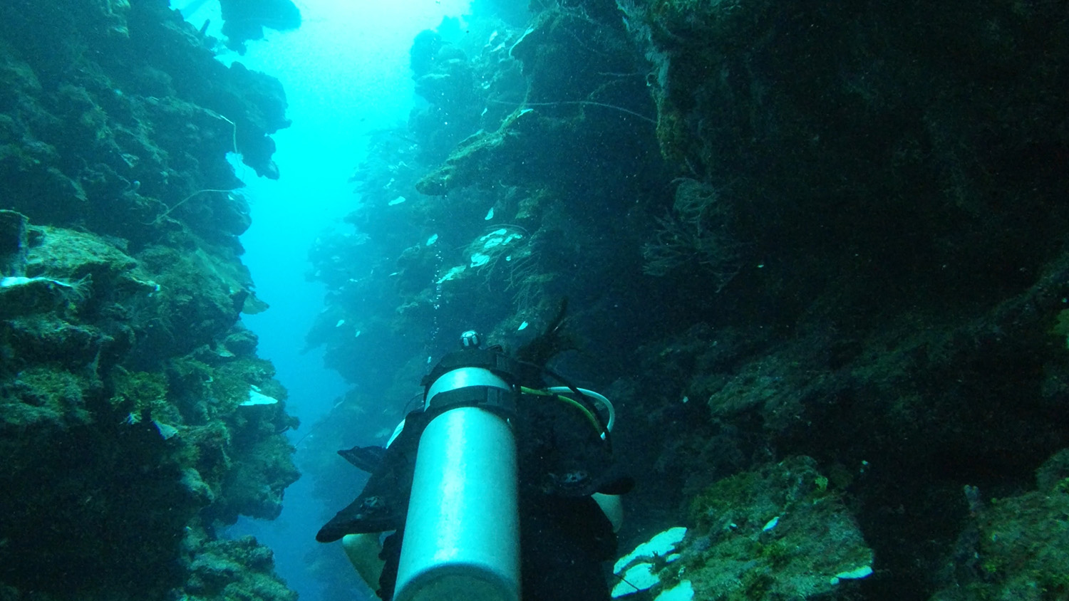 Dive at Mary's Place, Roatan, Honduras