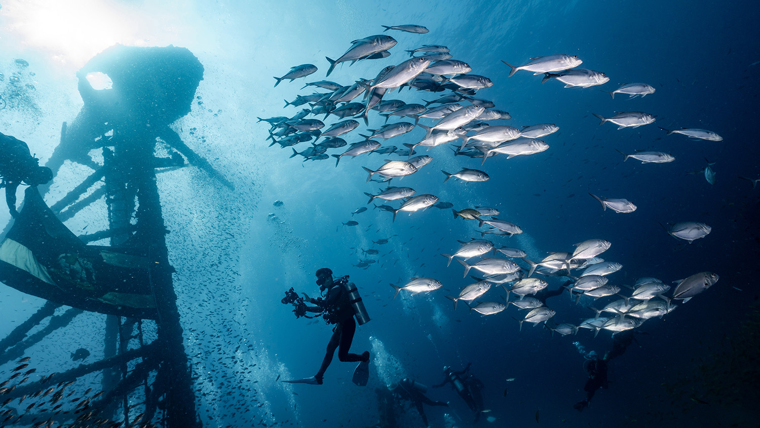 Deep Diver