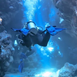2 divers surrounded by fish
