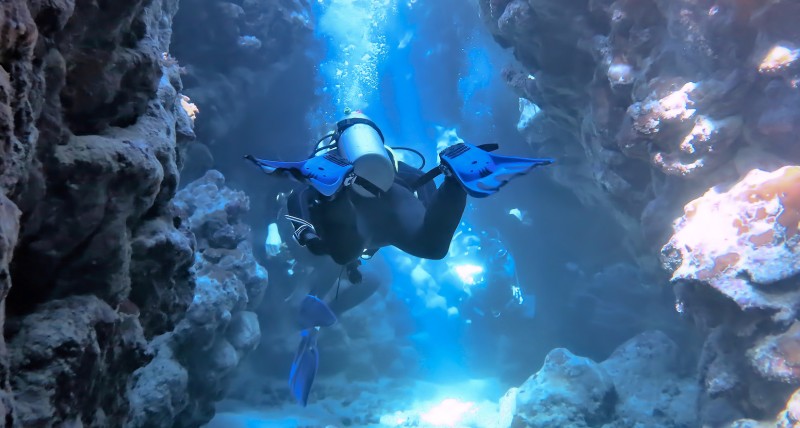 2 divers surrounded by fish