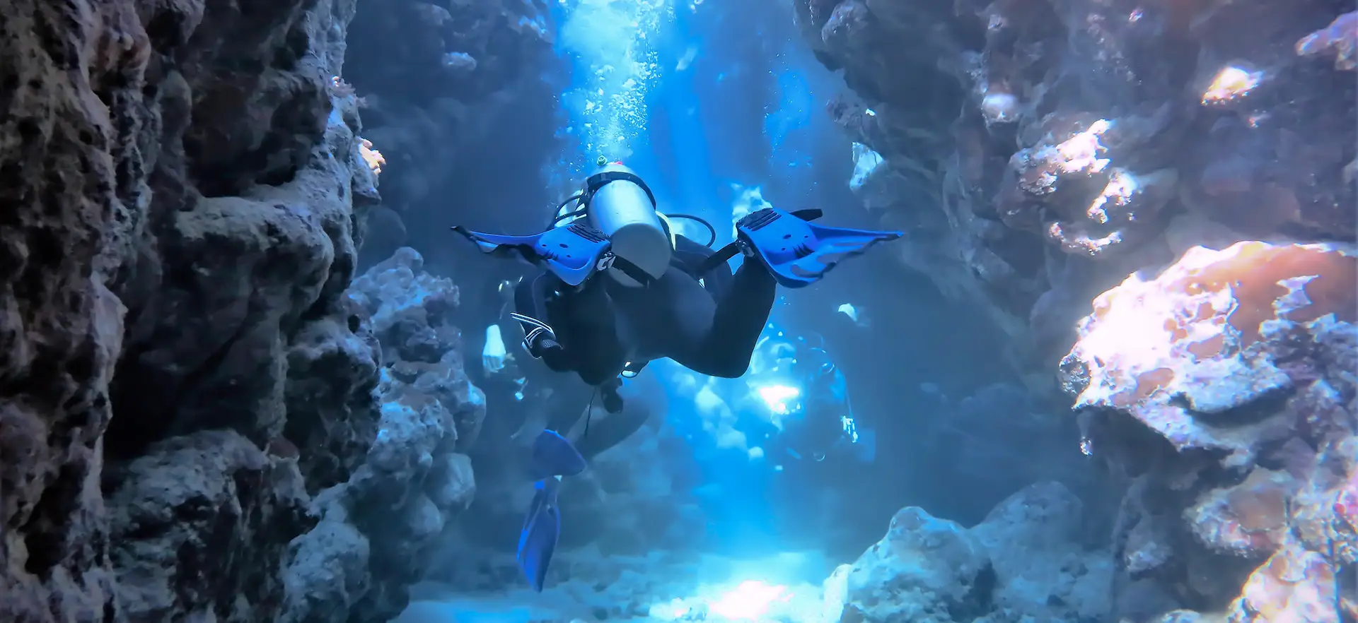 2 divers surrounded by fish