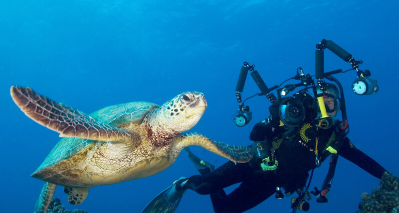 Video photography underwater