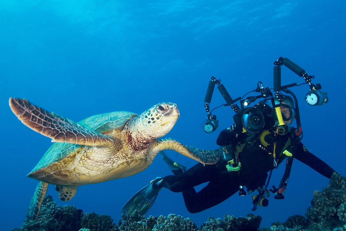 Underwater Videographer