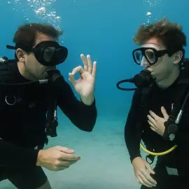 Scuba instructor and student.