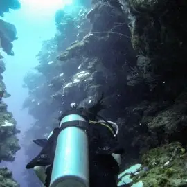 Mary's Place, Roatan, Honduras
