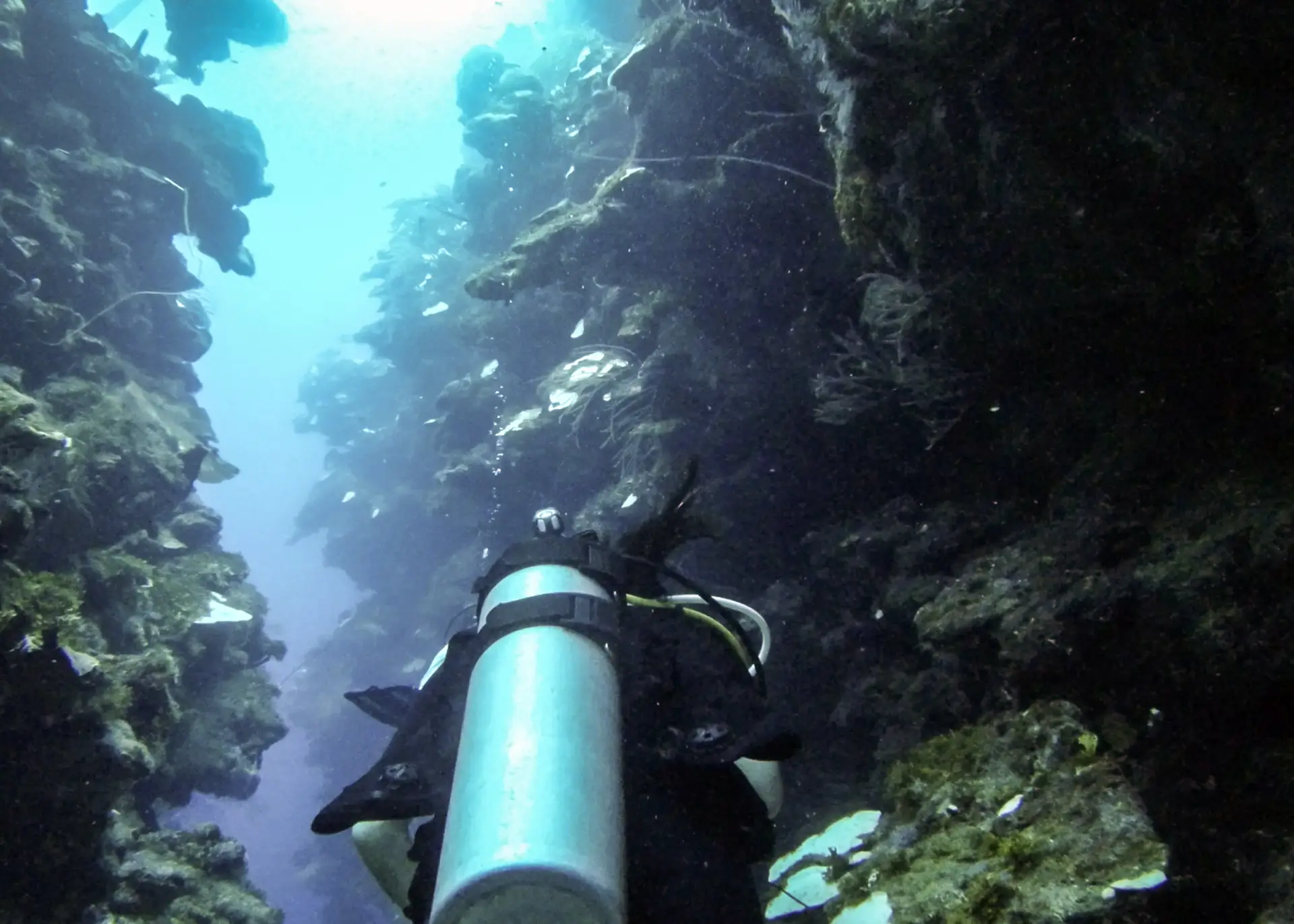 Mary's Place, Roatan, Honduras