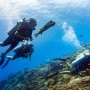 What to Expect from a Concierge Scuba Experience