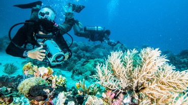 Researching a reef