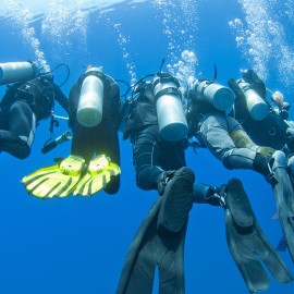 Choosing the right scuba fin is important.