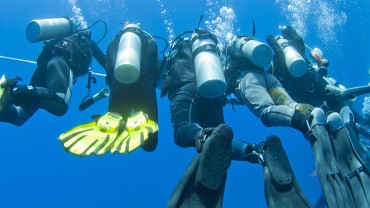 Choosing the right scuba fin is important.