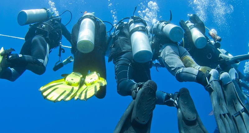 Choosing the right scuba fin is important.