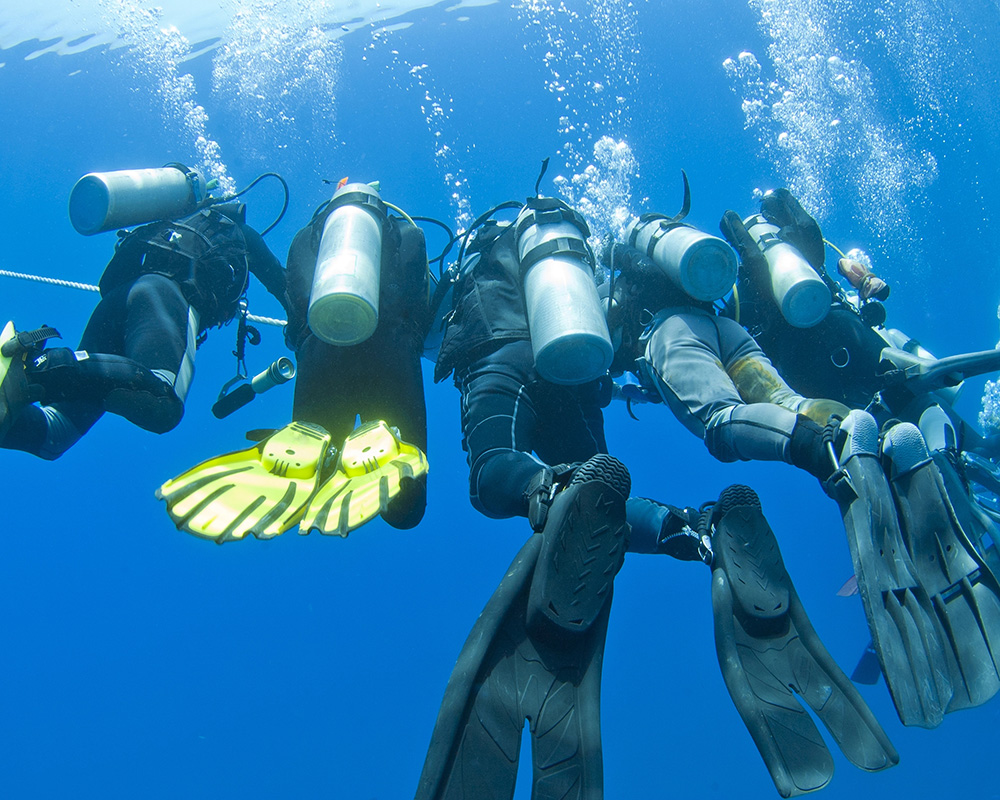 Choosing the right scuba fin is important.
