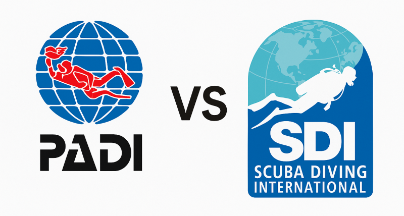 I offer both PADI and SDI private scuba instruction. Learn why.